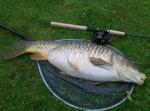 Jim Pike - Common Carp - 18lb - 15/5/11 - Whilst fishing M & B fishery (Hazard) 100%