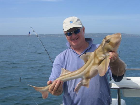 Pat Ellaby with a 9lb Port Phillip Shark caught in Australia.