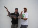 Kieth Nathan  (15-4-10lb) and Simon Mitchell (14-0-5lb) bull huss. best specimen 1st and 2nd place.
