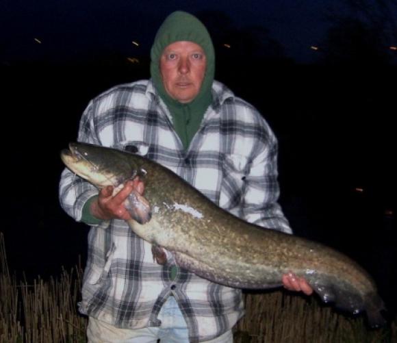 Tim Bird with his 21lb 8oz Catfish caught from Town Parks Paignton.